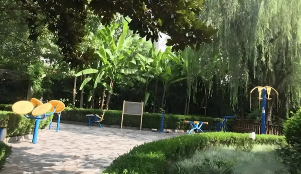 深圳光明新区人才入户电话_演硬汉成名却情路坎坷，8年不敢谈恋爱，遇小10岁的她成宠妻狂魔 遇她成宠妻狂另一方面